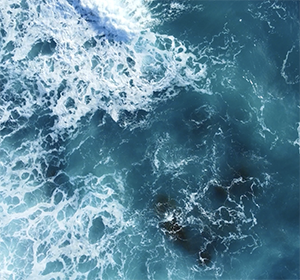 Farba ścienna szlachetny mat – Ciemnoszary Nr 787 Design Collection 5L